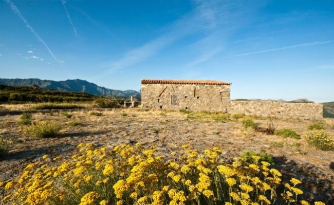 immortelle-cosmétique-corse-bien-être-événement-balagne-île-rousse Les rencontres du bien-être en Ballagne sont un événement qui met à l'honneur la cosmétique corse
