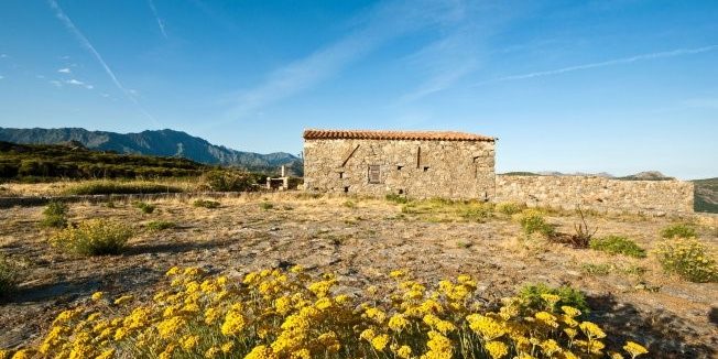 immortelle-cosmétique-corse-bien-être-événement-balagne-île-rousse Les rencontres du bien-être en Ballagne sont un événement qui met à l'honneur la cosmétique corse