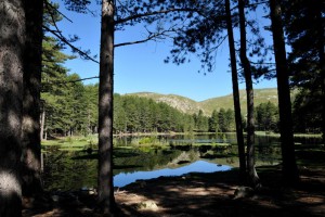 Le Lac de Creno est une randonnée nature dans la montagne corse dont le point de départ se situe à 1 heure d'Ajaccio