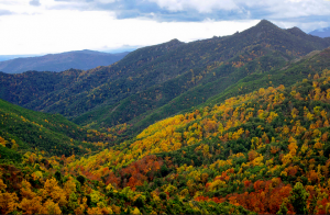 Vue panoramique sur la Castagniccia en Automne pendant les vacances de la Toussaint en Corse